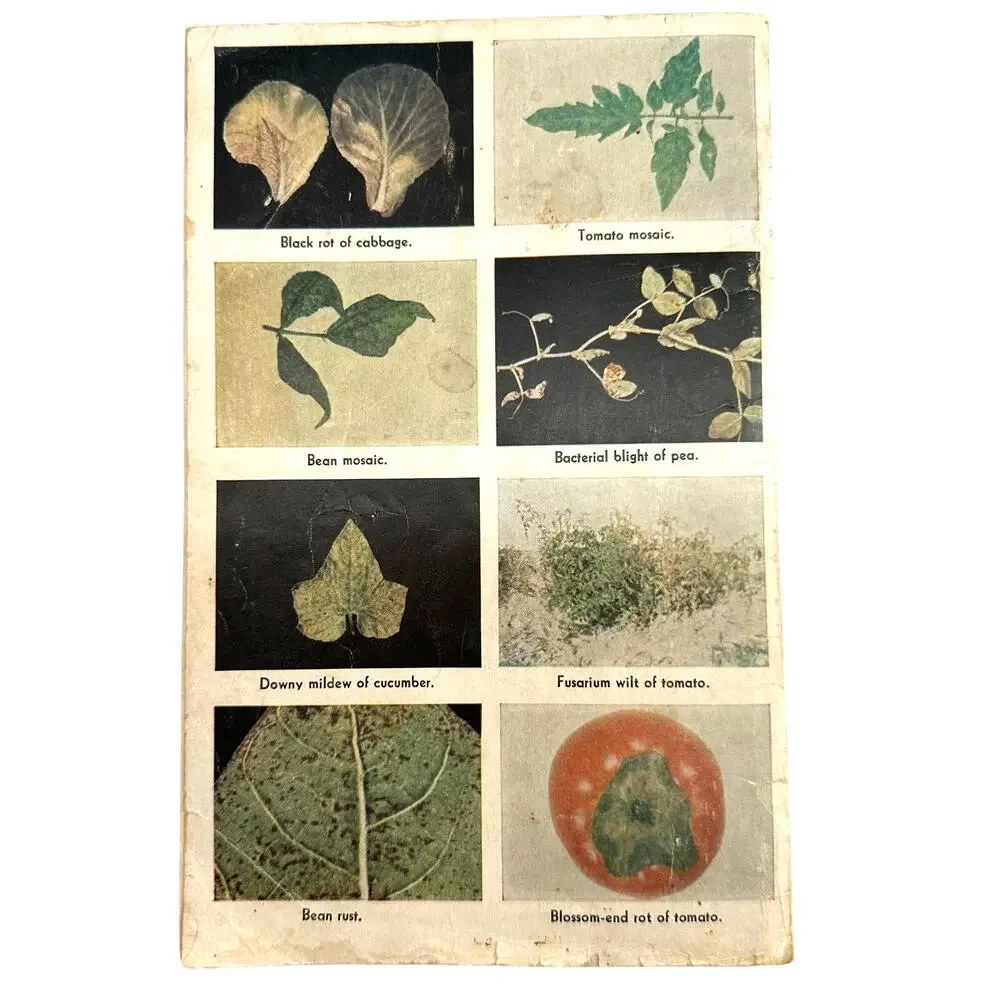 USDA vintage home